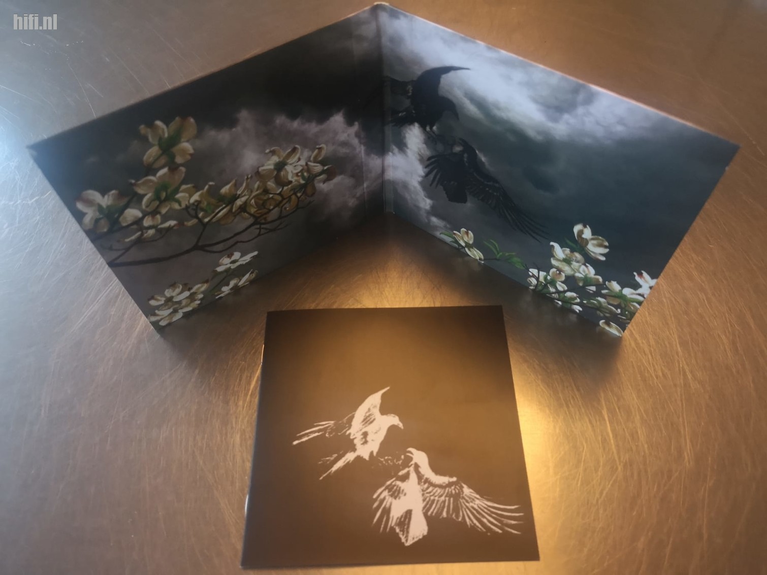 De Keuze van Kroese review Phosphorescent, Revelator