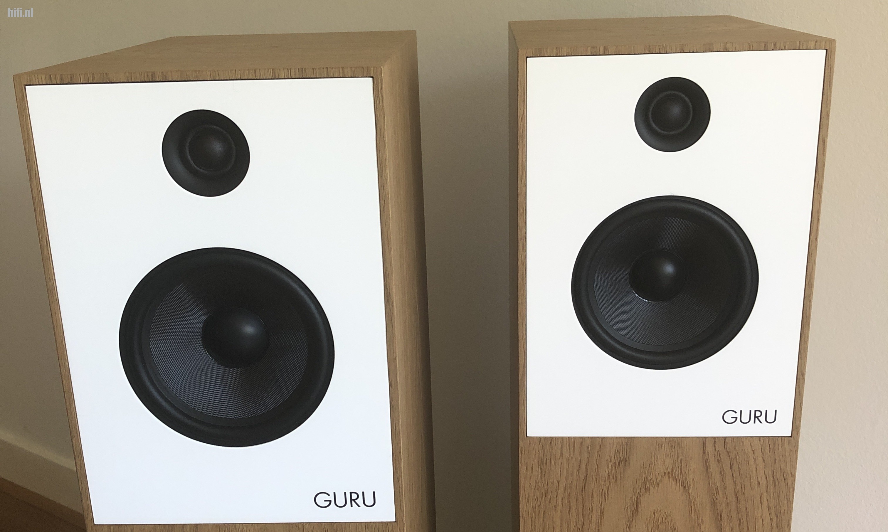 Guru speakers sales