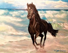 Paard langs de branding