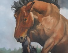 Spring is in the air..