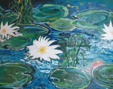 Waterlelies slotgracht