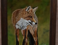 Vos op zoek naar prooi