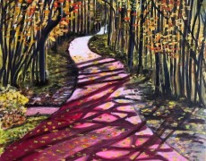 Wandelen in het bos in de duinen van Domburg