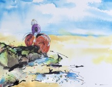 Genieten van het zonnetje