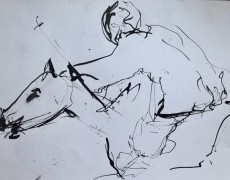 Paard -  snelschets in inkt met rietpen