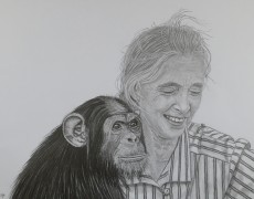 Jane Goodall 
