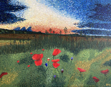 33. Klaprozen bij zonsondergang in Umbrië 