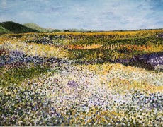 Landschap – Bloemenweide  