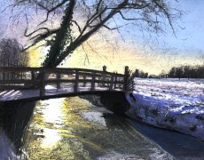 Ochtendzon bij Duinvliet