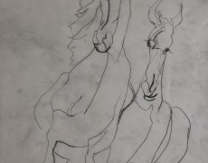 Blindcontourtekening paarden