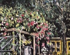 Bloeiende planten rond pergola