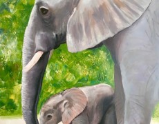 Olifant moeder en dochter