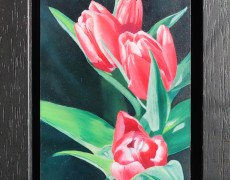Lente tulpen