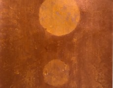 Bezielde aarde - Oogst