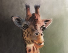 Giraffe 