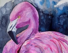 Pink flamingo
