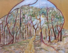 Impressie Drouwenerzand (16)