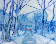 Impressie Drouwenerzand 17