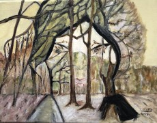 Impressie Drouwenerzand 18