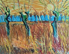 Knotwilgen bij ondergaande zon