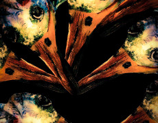 Vogels met gekleurde veren 