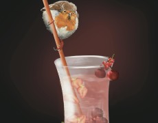  Time for a drink Fresh fruit lemonade 