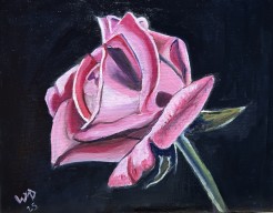 A Rose is just a Rose