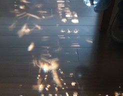 Lichtreflectie op bruin parket