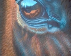 Nature of perception (3)