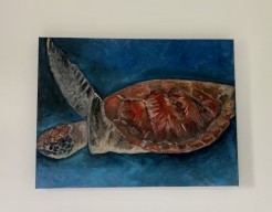 Schildpad zwemt onder water in Bonaire