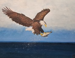 Zeearend met zijn vangst