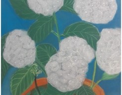 Hollandse witte bloemen