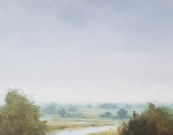 Uiterwaarden bij Deventer