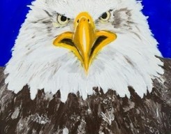 Amerikaanse zeearend kop