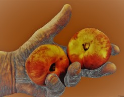 "Vrucht van de Hand"