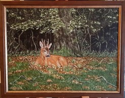 Reebok ligt aan de rand van het bos.