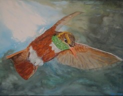 Kolibri ,  vliegende vrijheid