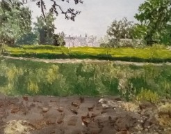 Stiltegebied Twickel te Delden  no 267/5