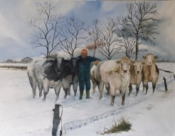 Trots op mijn koeien..