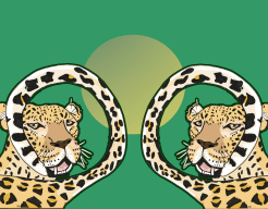Luipaarden in gulden spiraal