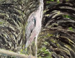 Reiger   no    255 /17