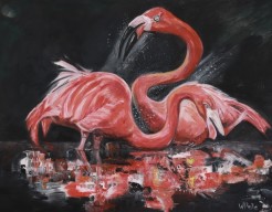 Flamingo