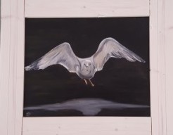 Seagull me and my shadow