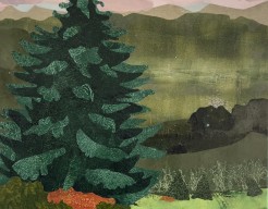 The Dreaming Conifer