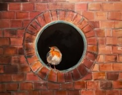 Robin...Brickwall