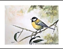 Koolmeesje op een tak