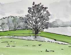 Landschap met water en boom