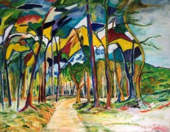 Impressie Drouwenerzand (8)