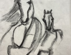 Snelschets Mongoolse paarden