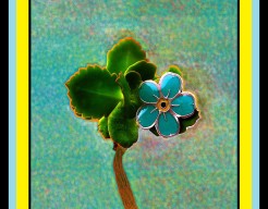 "De kunst van herinneren"